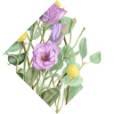 Spring - Iron Storage